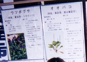 展示カラーポスターold